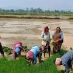 Kheti-Kisan-Kisan-CG